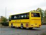 Вид 2: Кавз 4238-А5 школьный